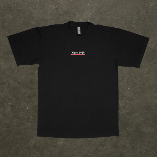 Premium Heavyweight Tee (Black) | Monaco